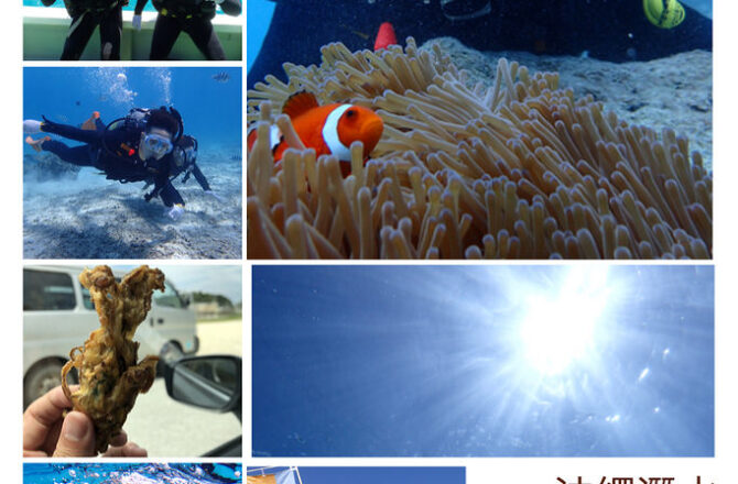 【沖繩青洞】黑潮潛水｜第一次潛水就上手 沖繩就是要潛水 新手潛水好選擇