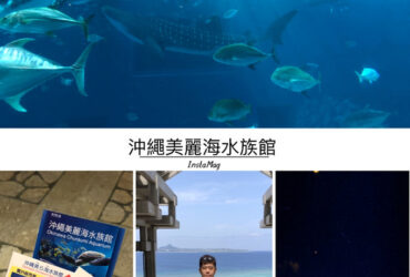 【沖繩海洋館】沖繩美麗海水族館｜沖繩必去 超大觀景窗遇見鯨鯊