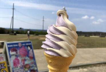 【沖繩】BLUE SEAL 冰淇淋｜美國品牌冰淇淋 用料實在便宜消暑