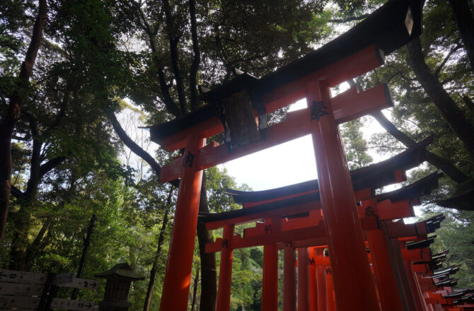 【日本京都】伏見稻荷大社｜京都必去 壯觀鳥居 清晨人少好拍