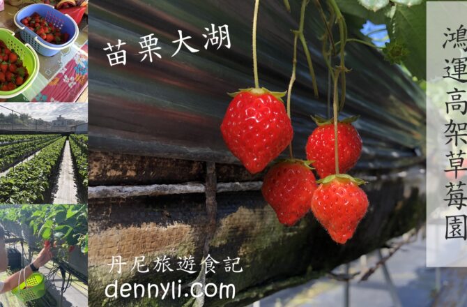 【苗栗大湖】大湖鴻運高架草莓園｜Google高評價草莓園 有機栽種草莓