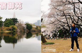 東京新宿御苑櫻花季