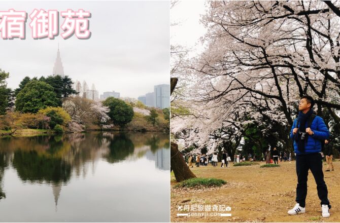 【2019東京新宿】新宿御苑｜櫻花季旅遊體驗及景點介紹