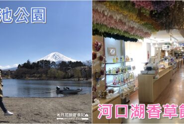 【日本】河口湖香草館與大池公園｜河口湖景點介紹與富士山拍照地點