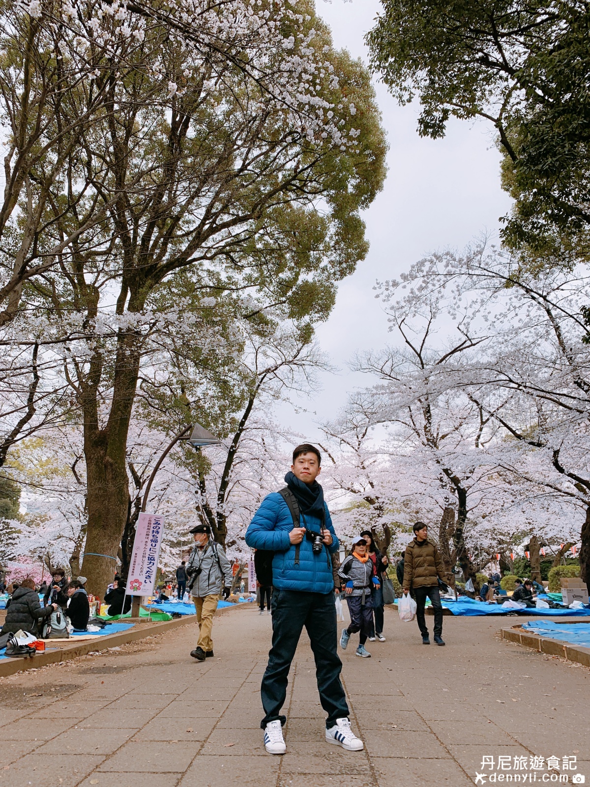 2019東京上野公園櫻花季