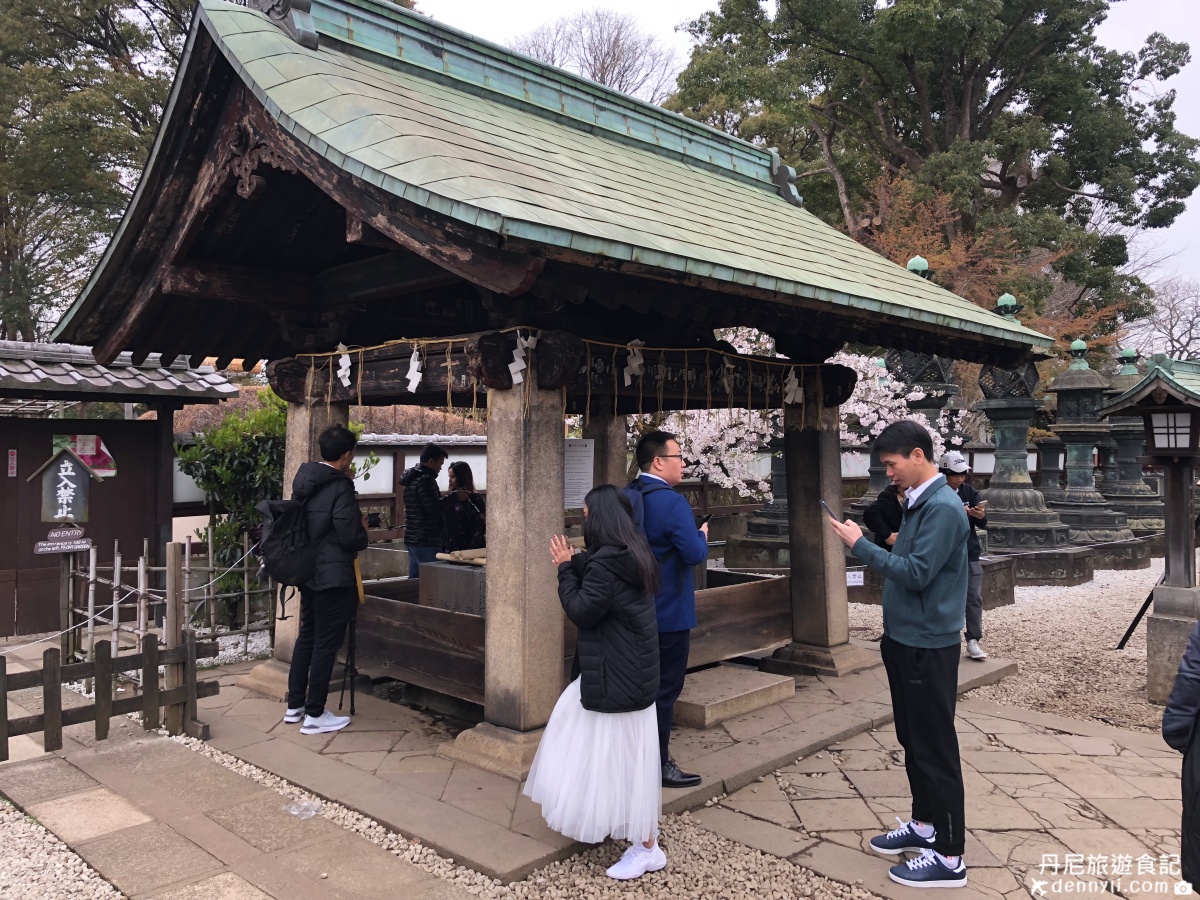 2019東京上野公園櫻花季