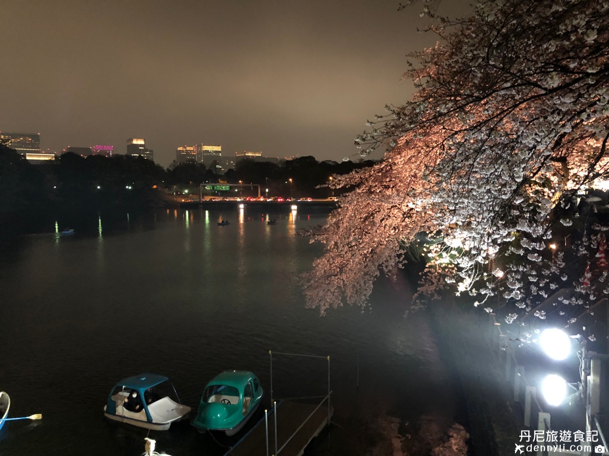 東京千鳥之淵櫻花季夜櫻美景