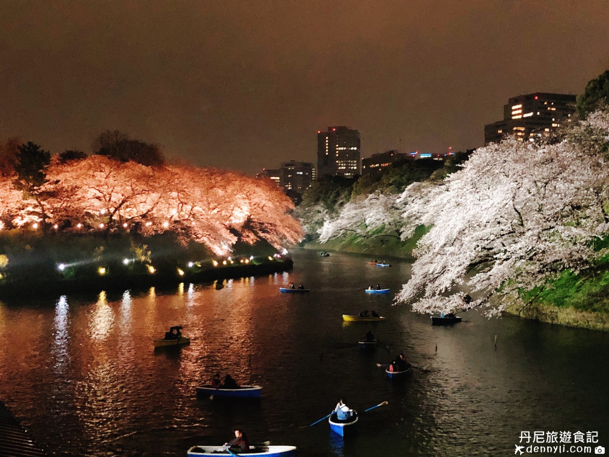 東京千鳥之淵櫻花季夜櫻美景