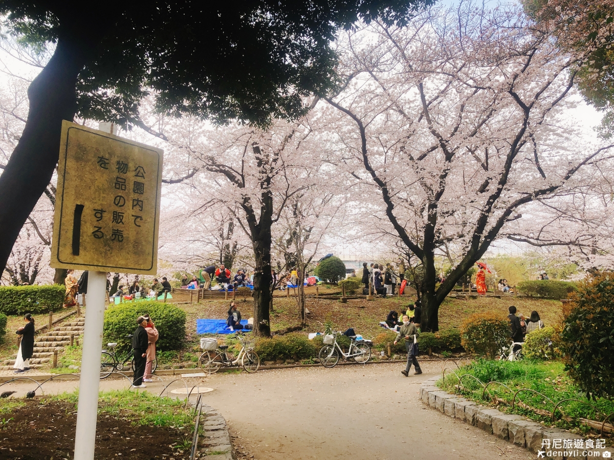 東京淺草隅田公園櫻花季