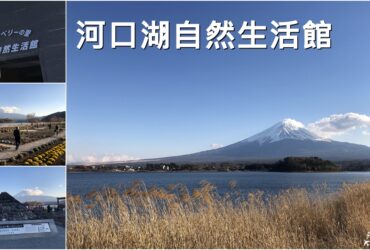 【河口湖】自然生活館｜眺望富士山景與周遭體驗分享