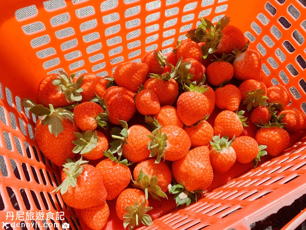 六合草莓休閒農場