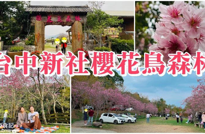 【台中新社】櫻花鳥森林|必訪粉櫻步道、最佳野餐區