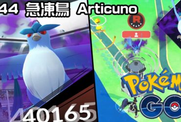 【Pokemon GO】暗影急凍鳥 Shadow Articuno｜第一代飛行與冰系傳說寶可夢