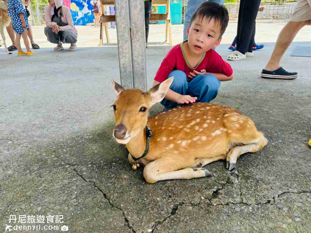 小琉球鹿粼梅花鹿園區