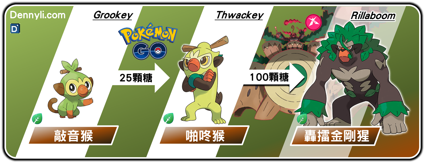 精靈寶可夢轟擂金剛猩進化階段