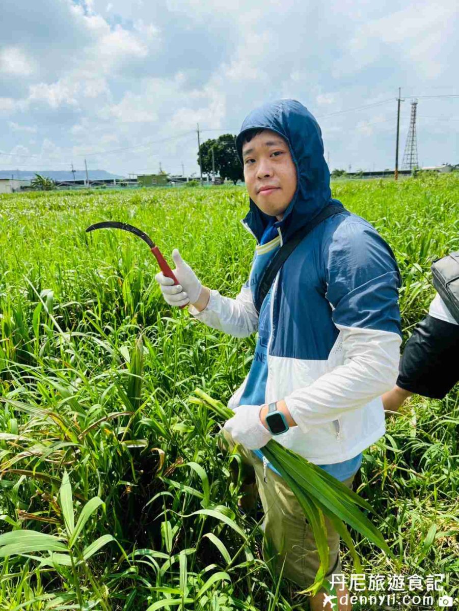 高雄禾光牧場-羊咩咩的家