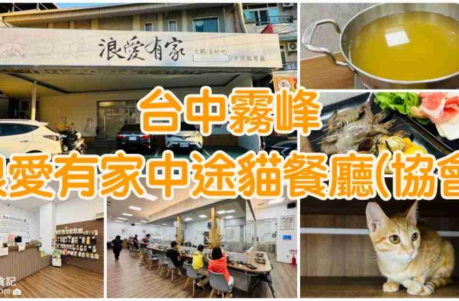 【台中霧峰】浪愛有家中途貓餐廳(協會)|火鍋吃到飽結合貓咪送養的地方