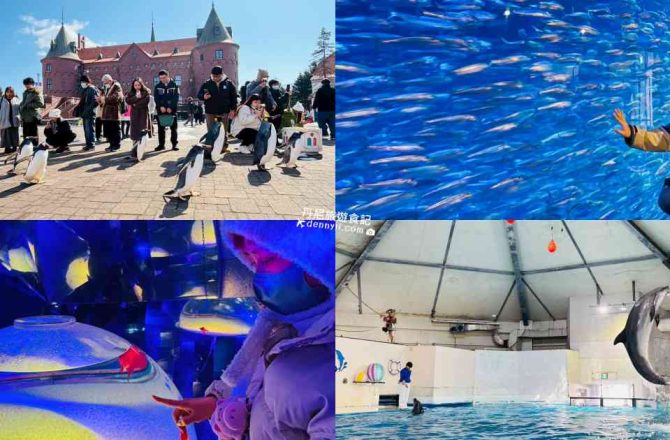 【北海道】登別尼克斯海洋公園|必看企鵝遊行、海豚海狗表演～