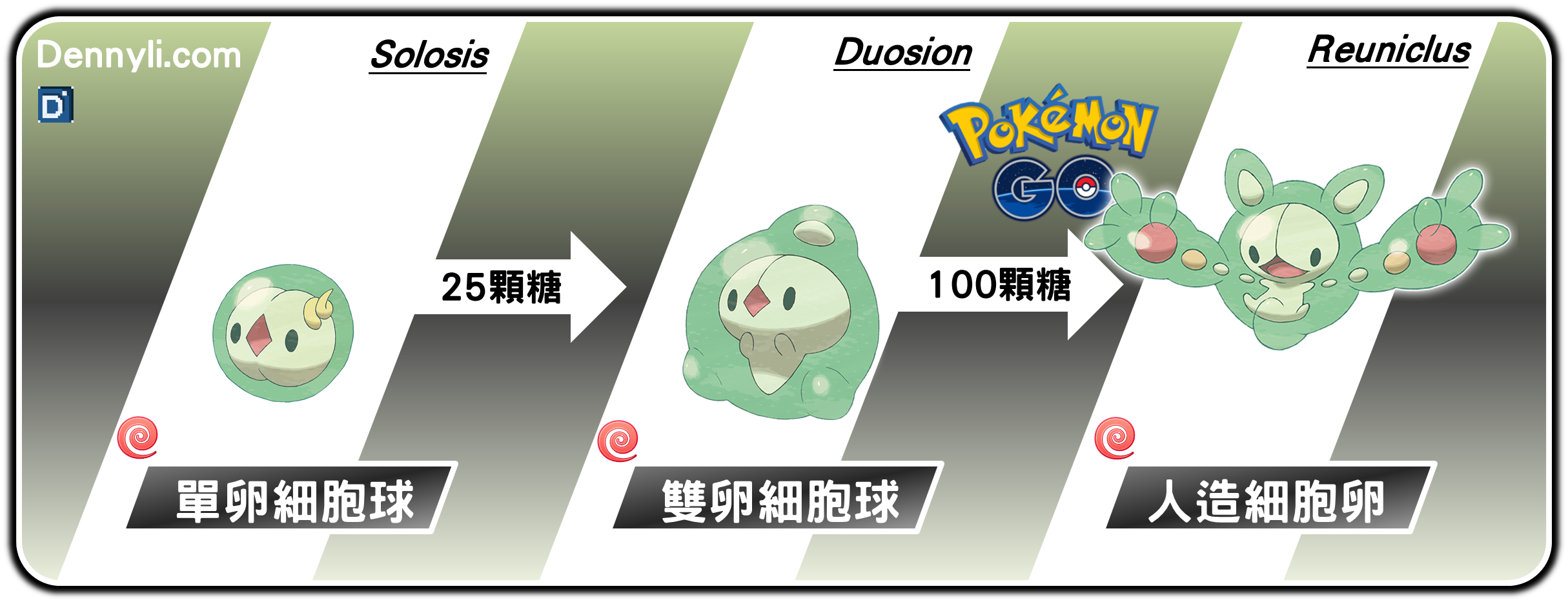 精靈寶可夢人造細胞卵進化階段