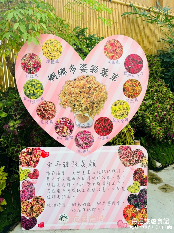 苗栗卓蘭花露休閒農場