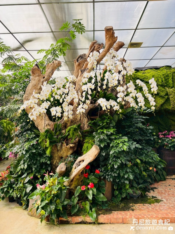 苗栗卓蘭花露休閒農場